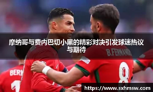 56体育直播官方网站
